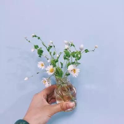 西游联萌手游下载